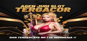 SOBET88 Wins